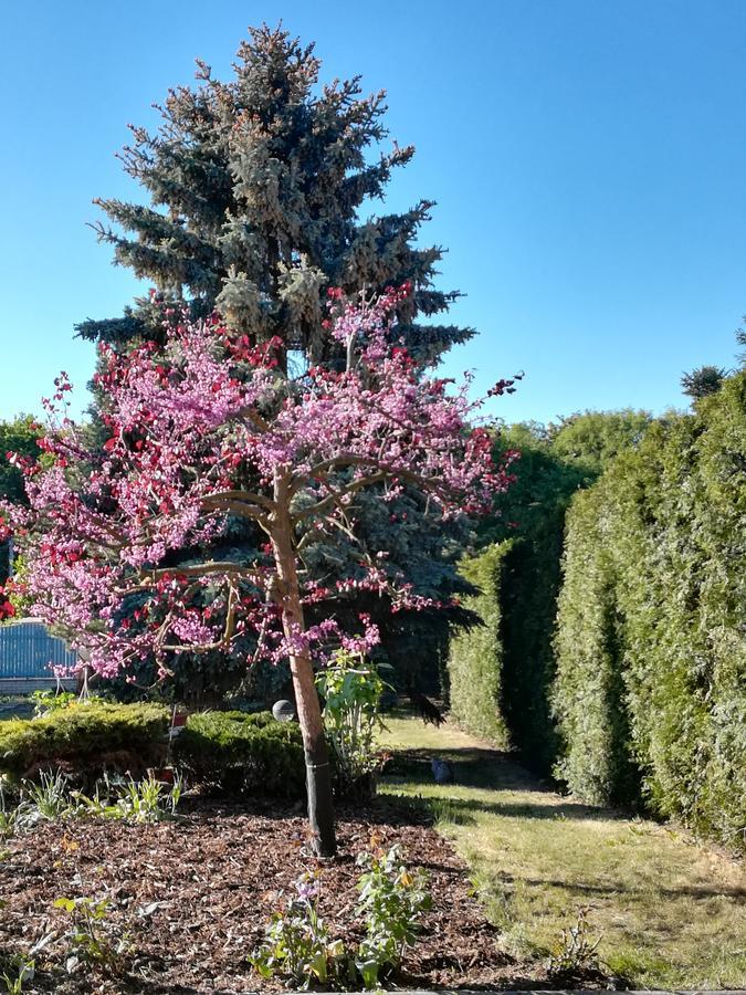 Homestay Svatá 외부 사진